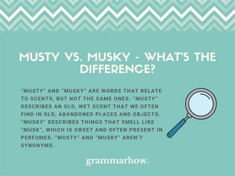 musky in tagalog|Translate musky smell in Tagalog with contextual examples.